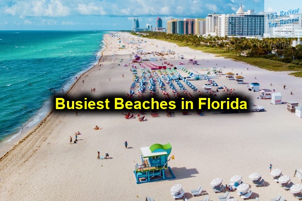 Busiest Beaches in Florida