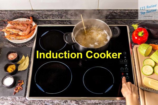 Induction Cooker